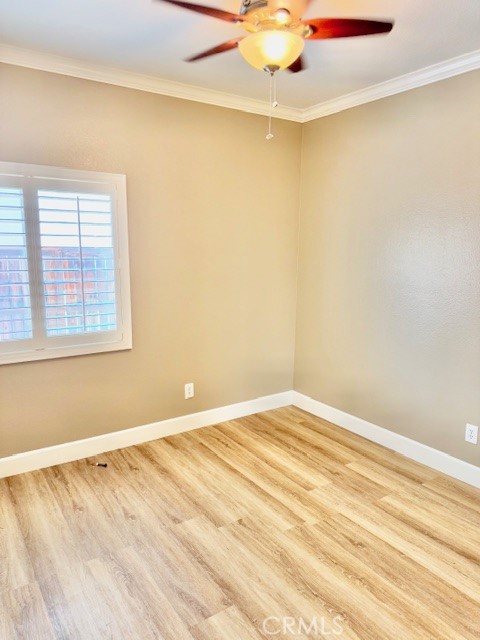 26204 Percheron Circle