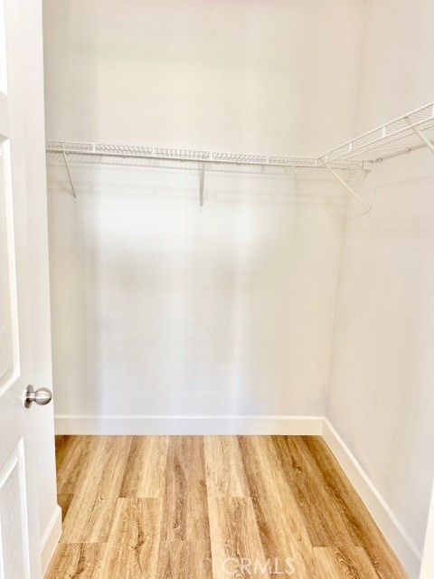 26204 Percheron Circle