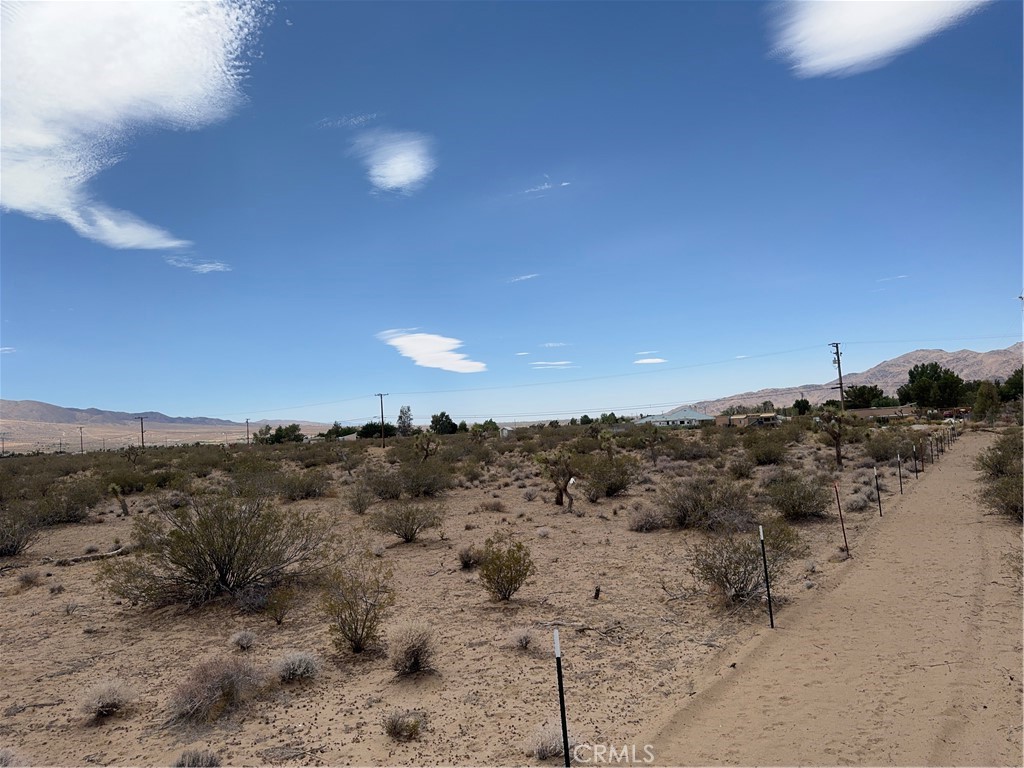 0 Morningside Street