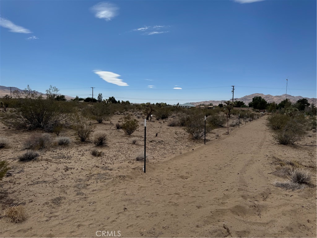 0 Morningside Street