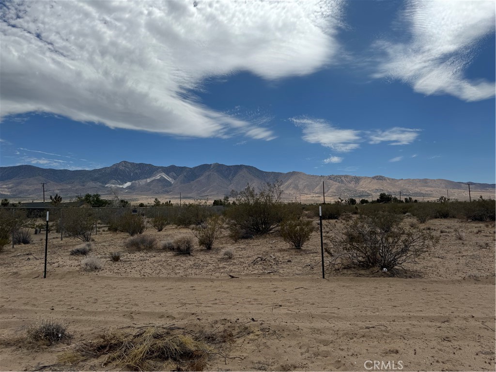 0 Morningside Street