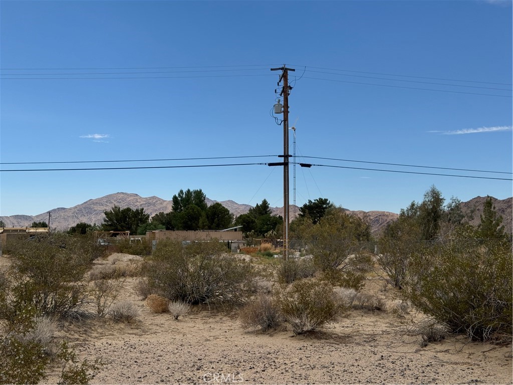 0 Morningside Street