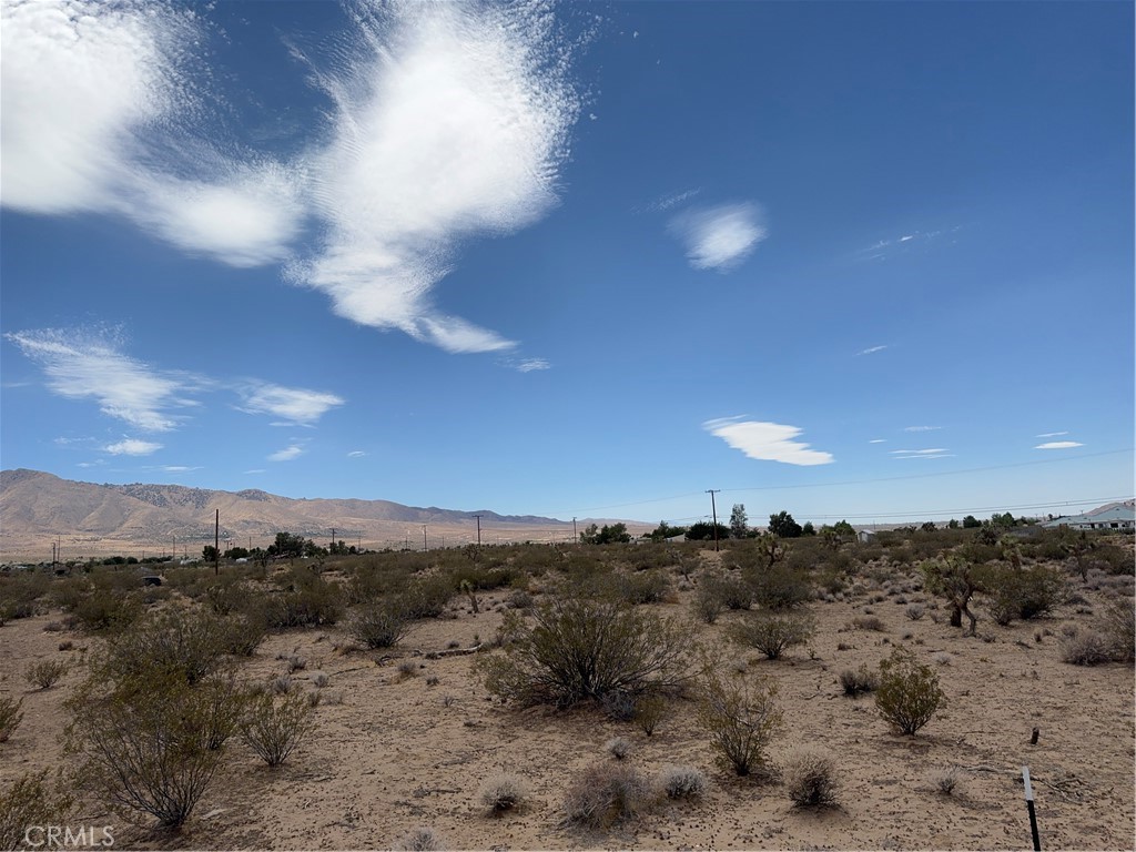 0 Morningside Street