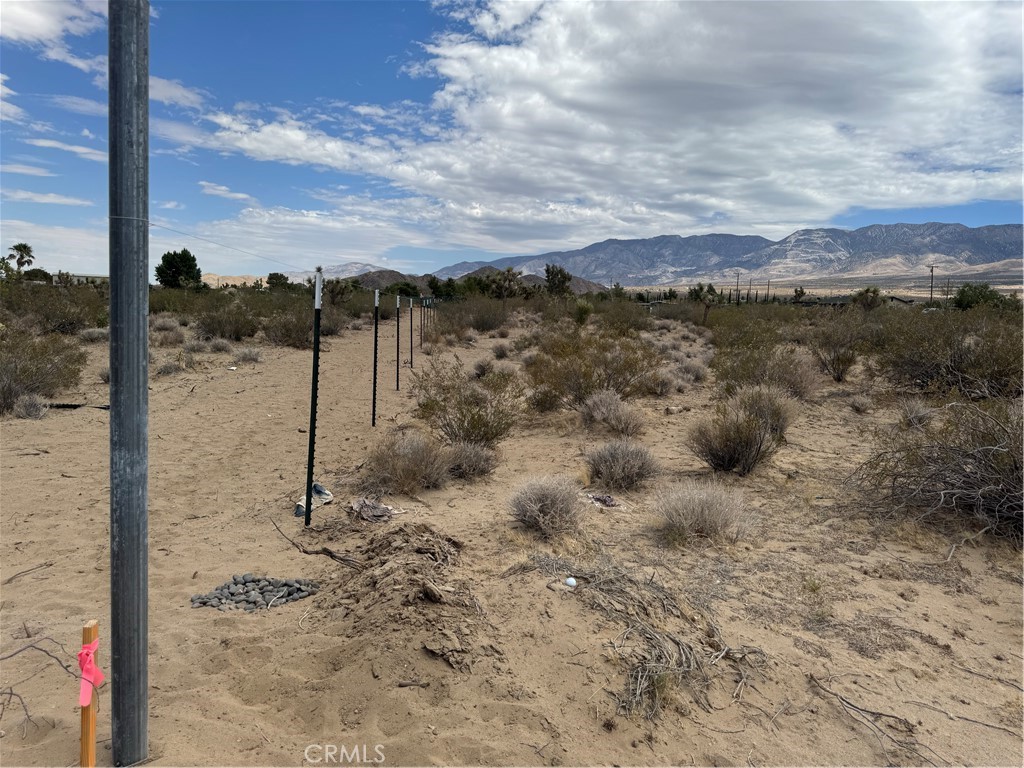 0 Morningside Street