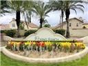 5220 Holstein Way