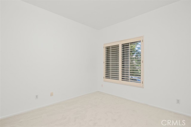 38 Veneto LN