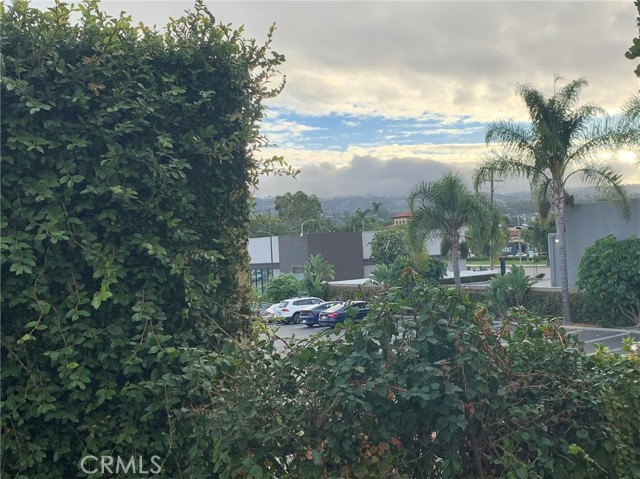 24410 Crenshaw BLVD Unit: 121