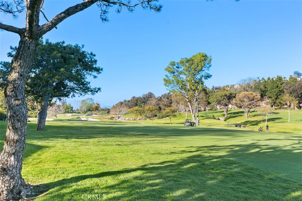 31272 W Nine Drive 3RF