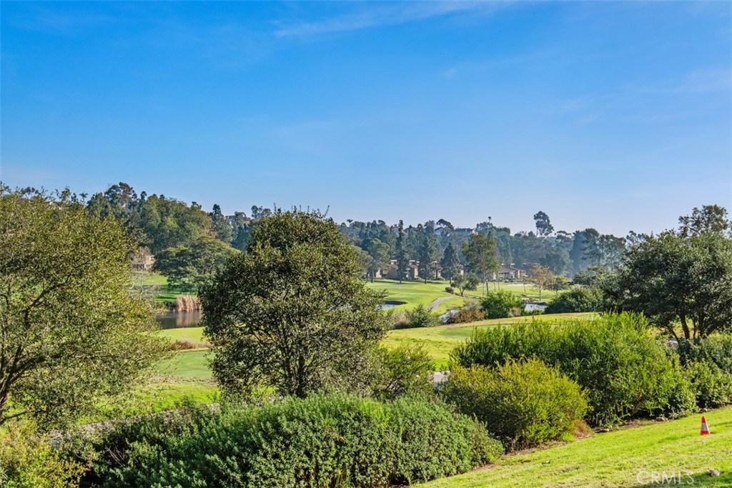 31272 W Nine Drive 3RF