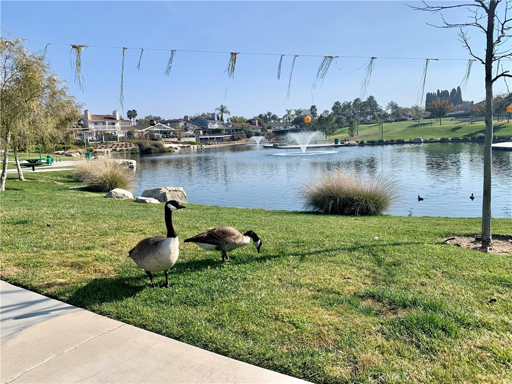 23211 Meadowbrook Circle