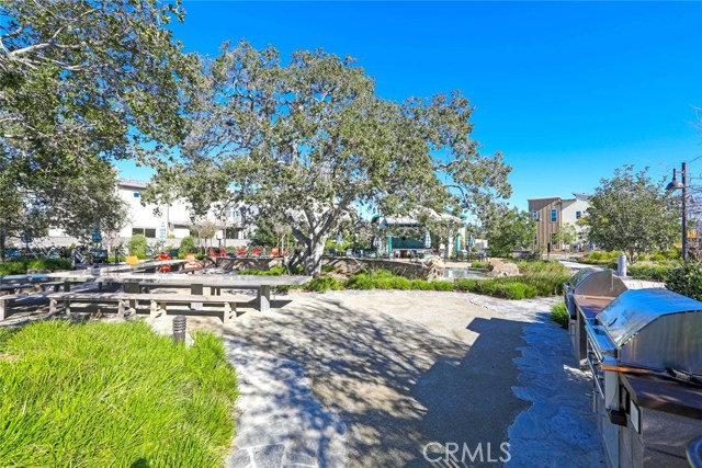 248 Alienta LN