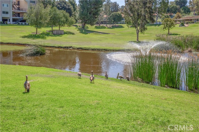 5510 W Paseo Del Lago Unit: 2G