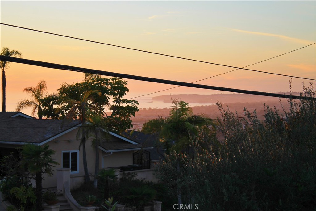 113 Avenida Salvador