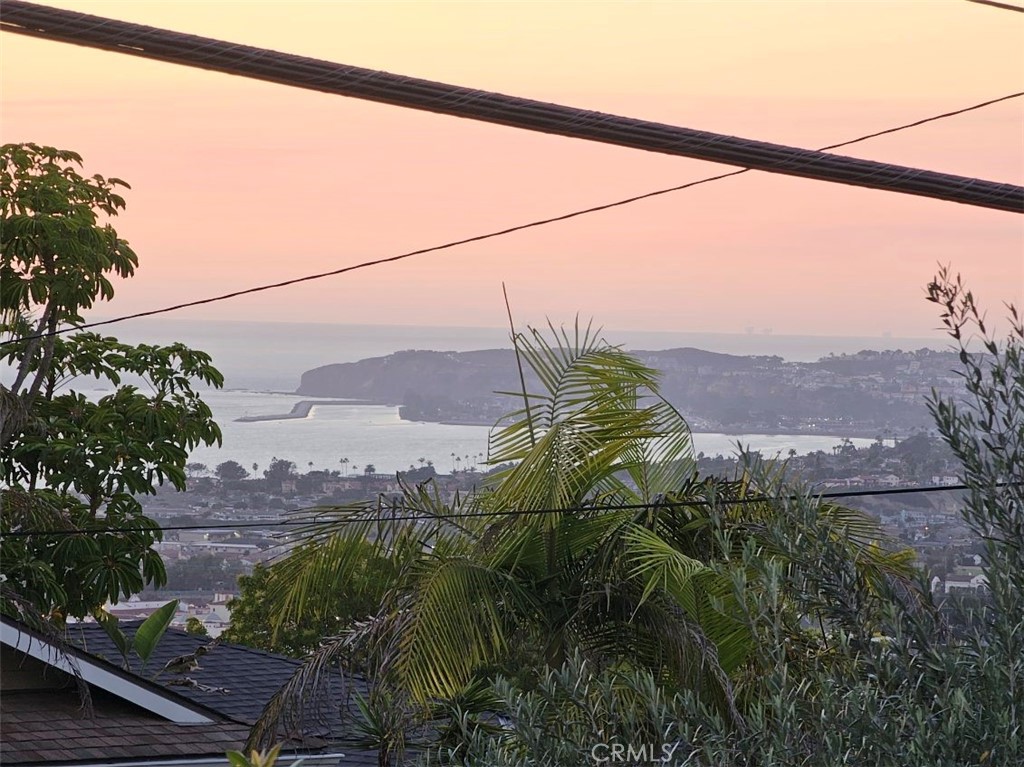 113 Avenida Salvador