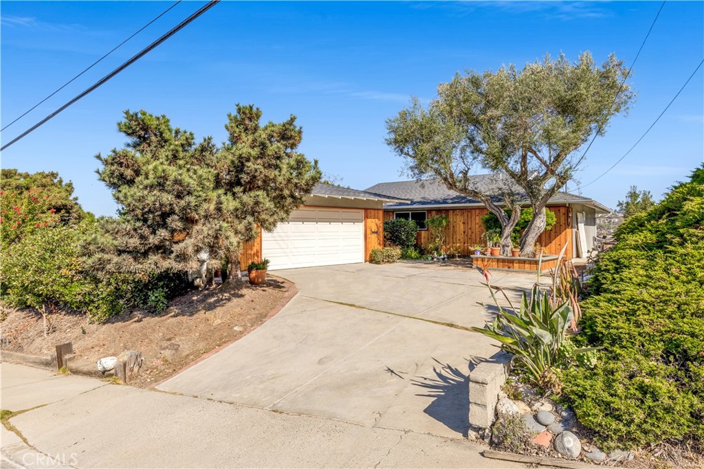 113 Avenida Salvador