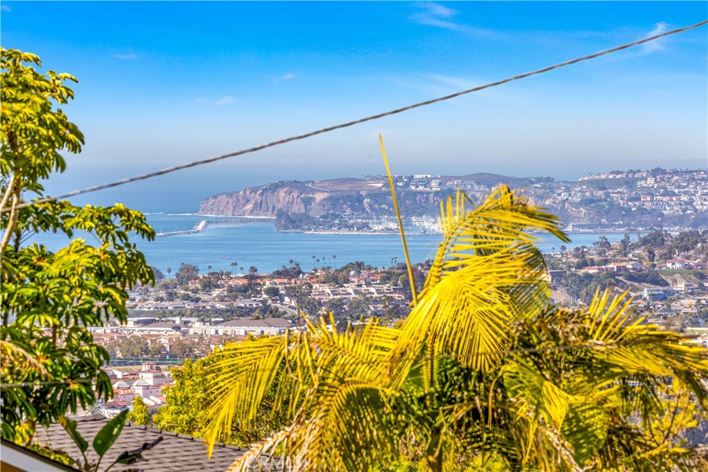 113 Avenida Salvador