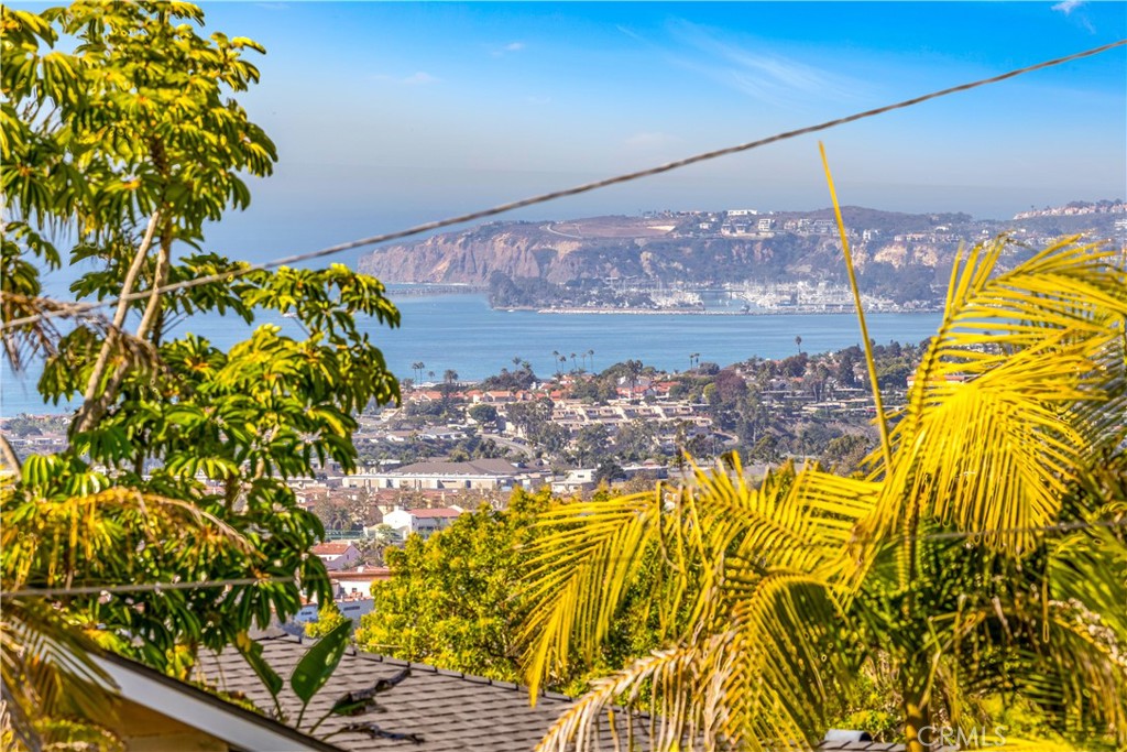 113 Avenida Salvador