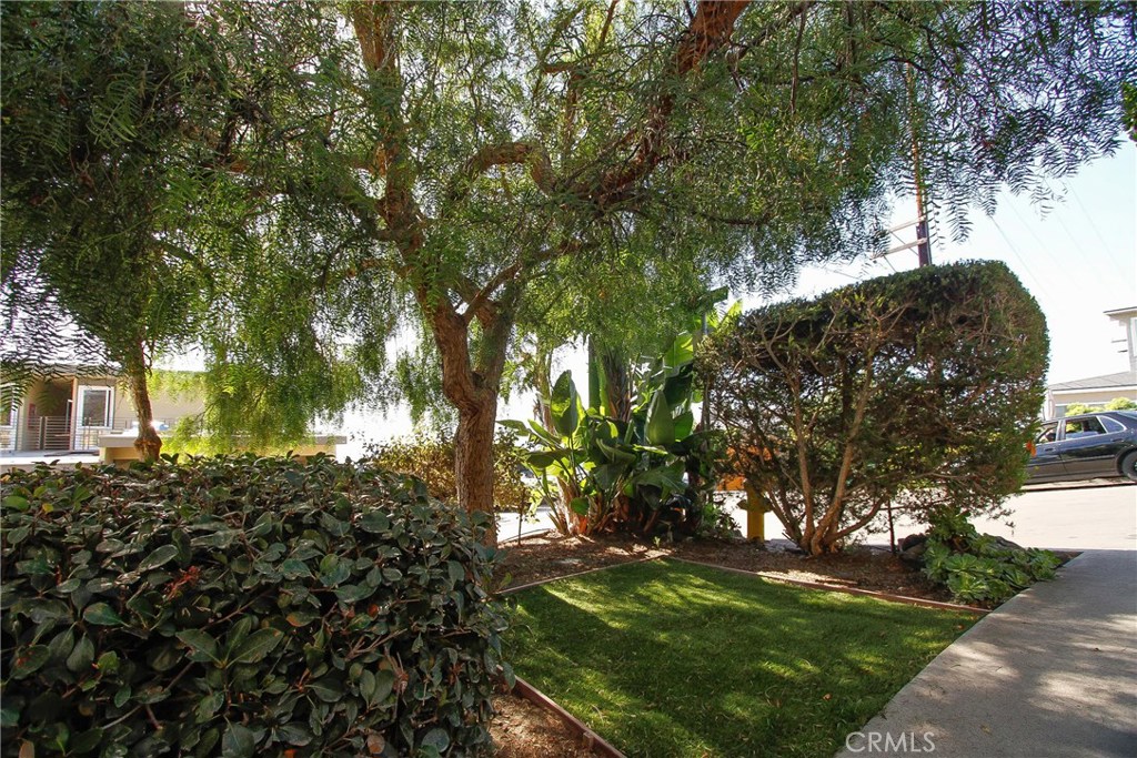 221 Grandview Street