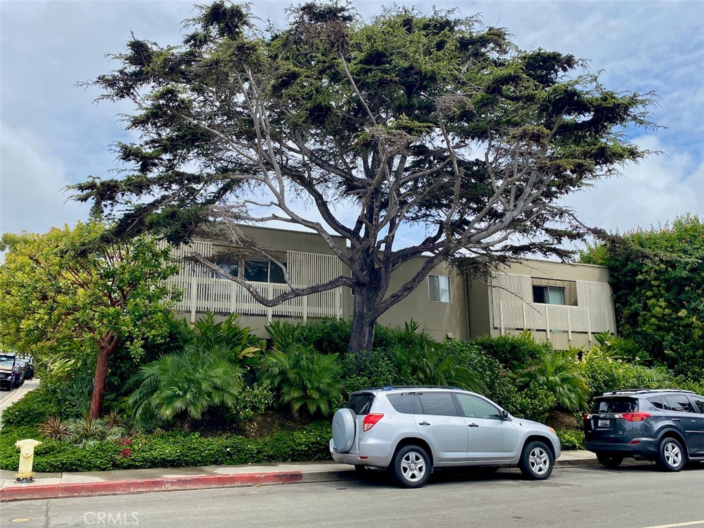 396 Cypress Drive C
