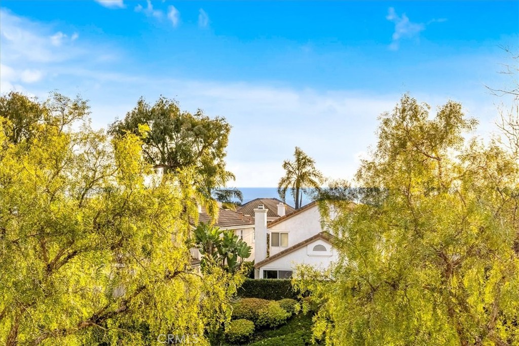 32471 Outrigger Way 5