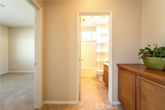 29260 Meandering CIR