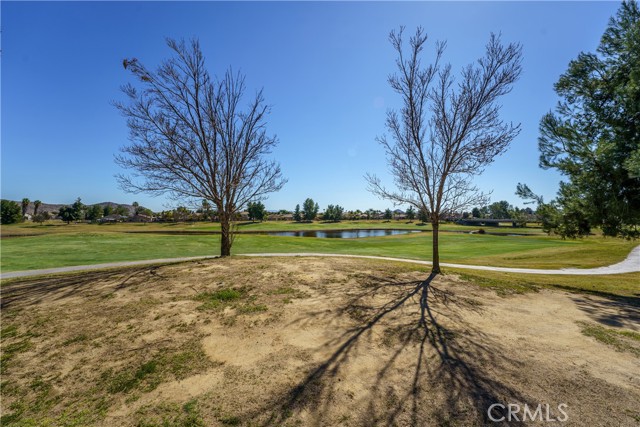 29260 Meandering CIR