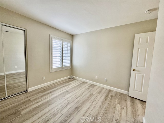 62 Northern Pine