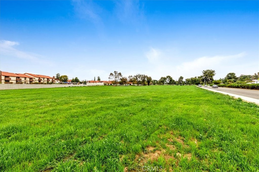 0 Chambers & Buena Vista