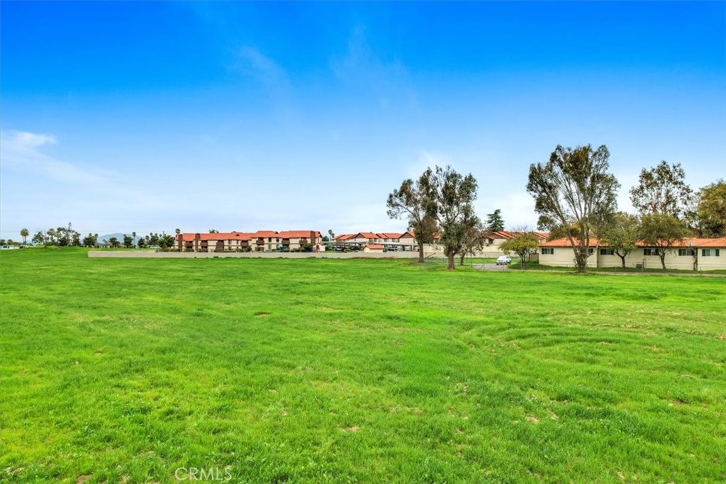 0 Chambers & Buena Vista