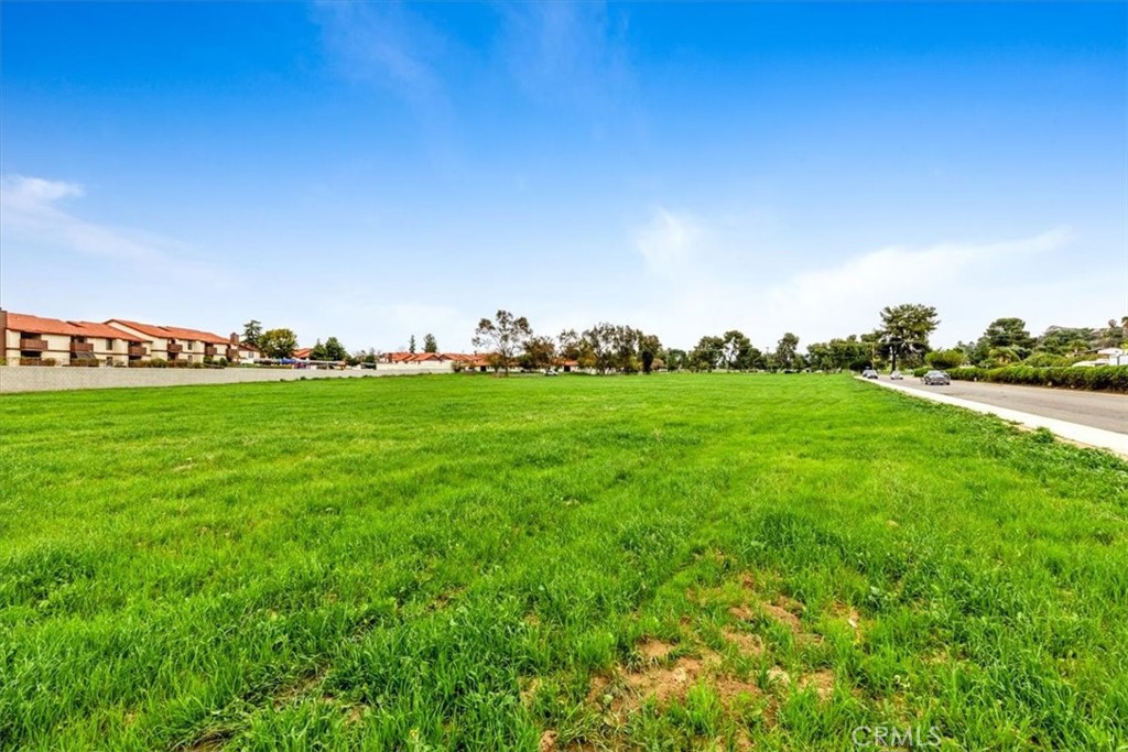 0 Chambers & Buena Vista