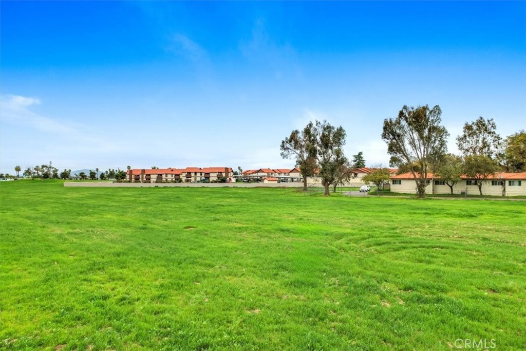 0 Chambers & Buena Vista