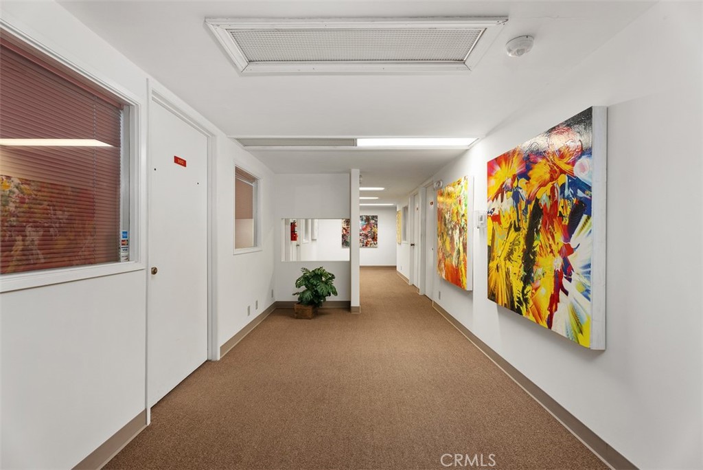 34231 Camino Capistrano 201