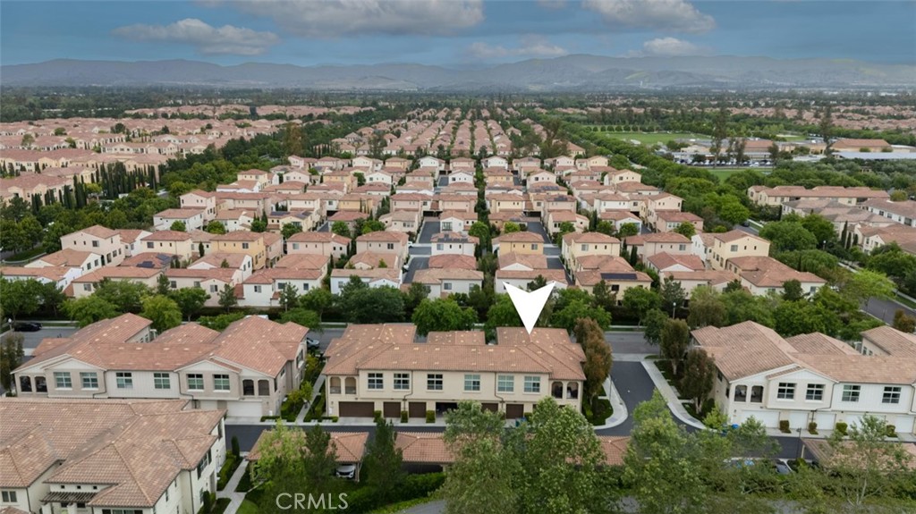 102 Rose Arch 23