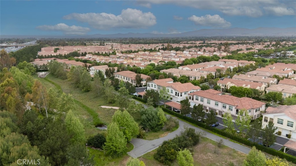 102 Rose Arch 23