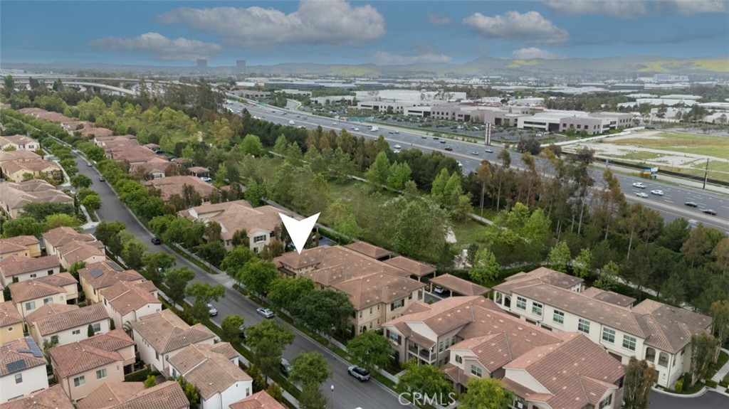 102 Rose Arch 23