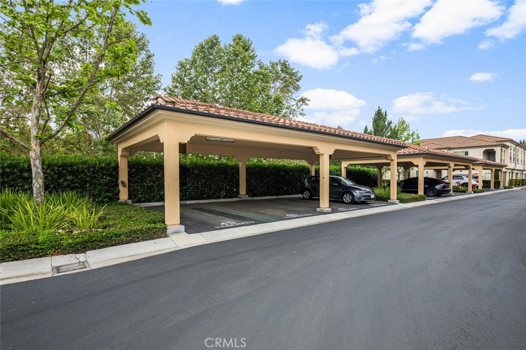102 Rose Arch 23