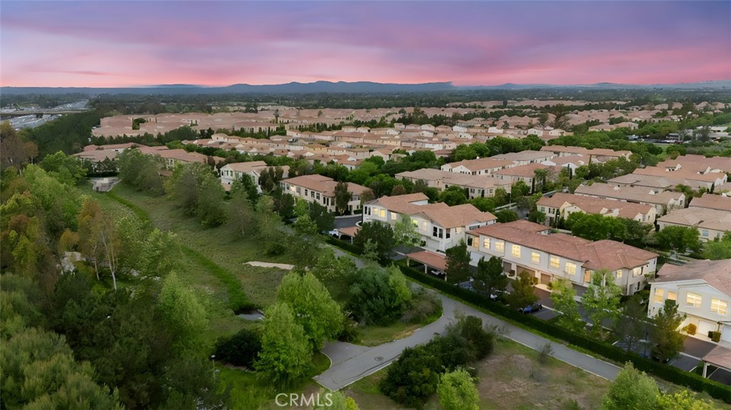 102 Rose Arch 23