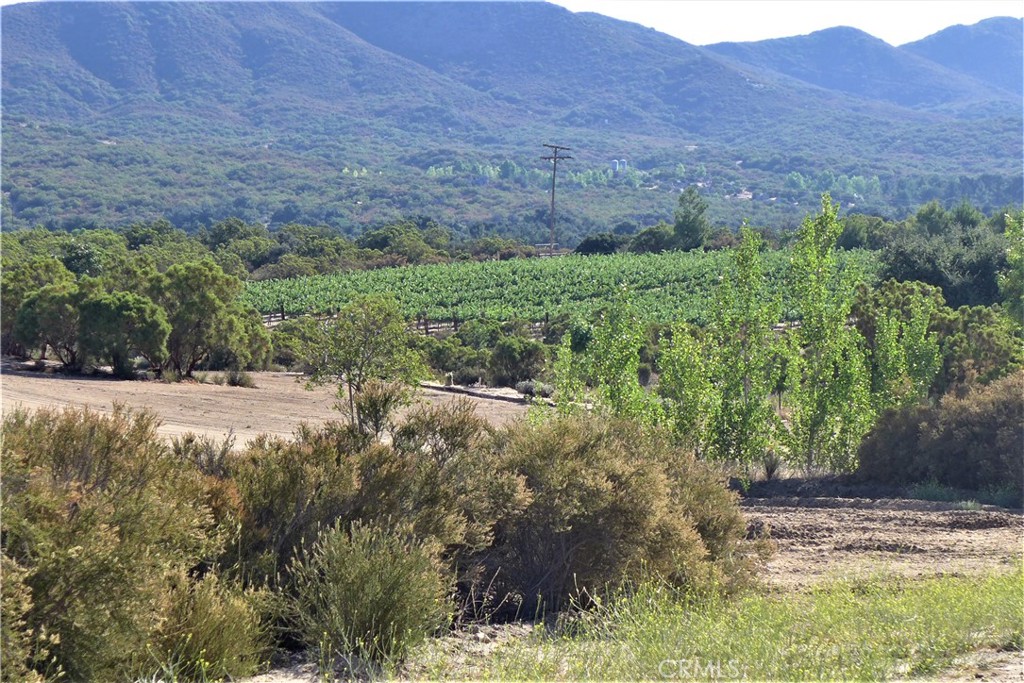 29972 Chihuahua Valley Road