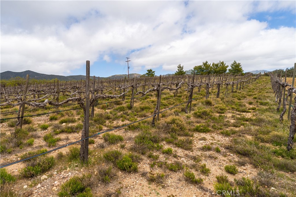29972 Chihuahua Valley Road