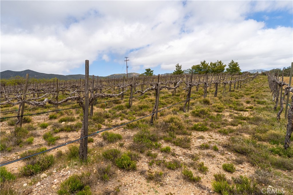 29972 Chihuahua Valley Road