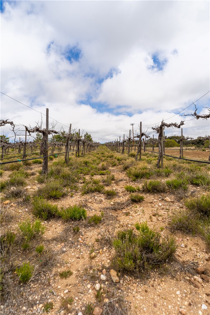 29972 Chihuahua Valley Road