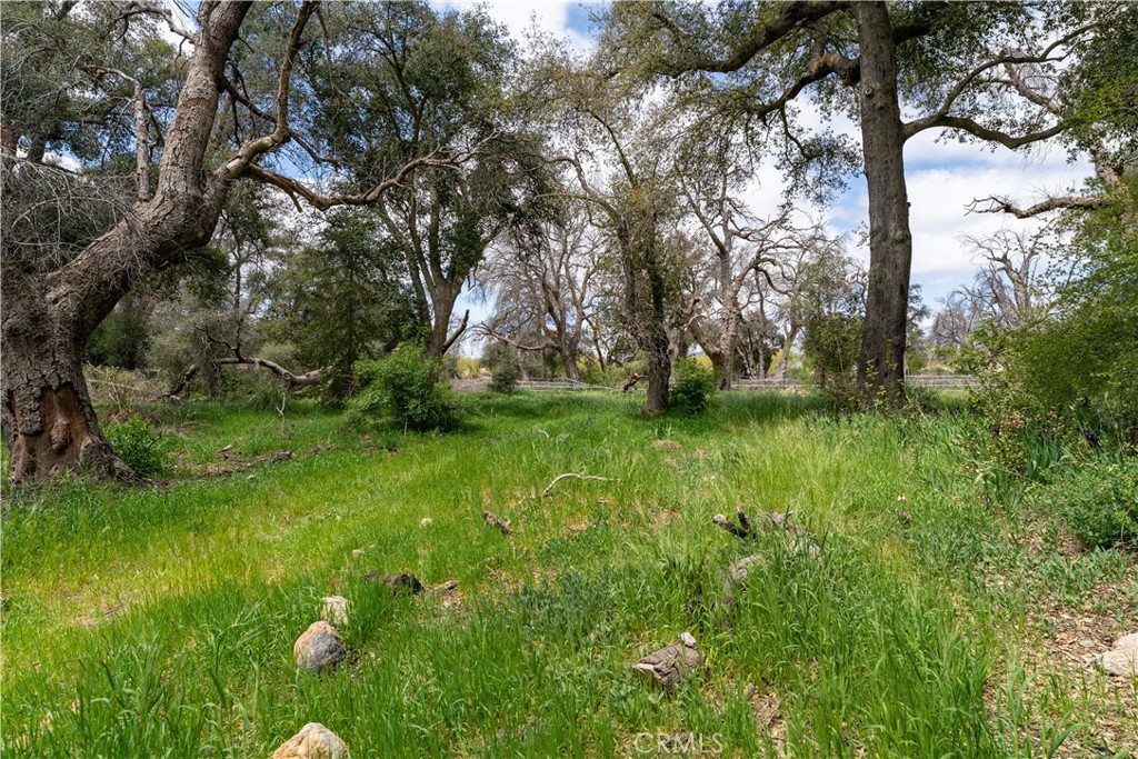 29972 Chihuahua Valley Road