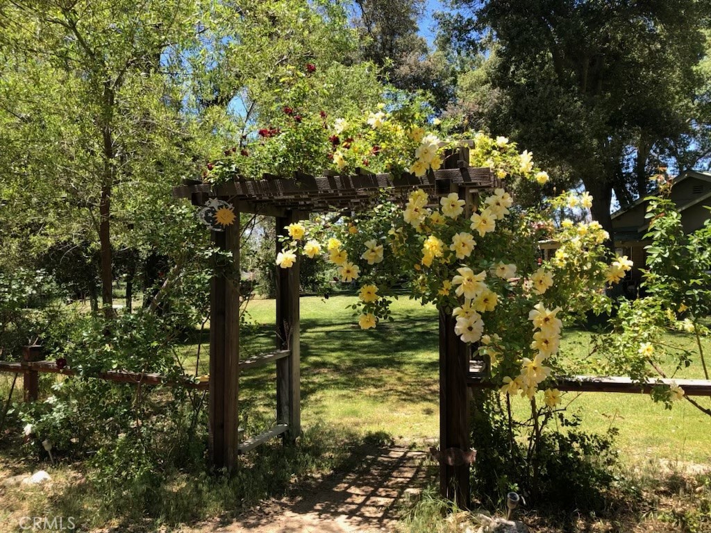 29972 Chihuahua Valley Road