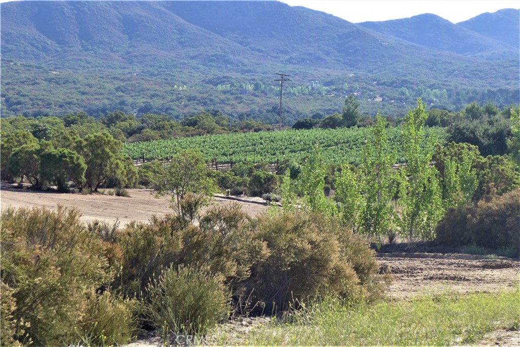 29972 Chihuahua Valley Road