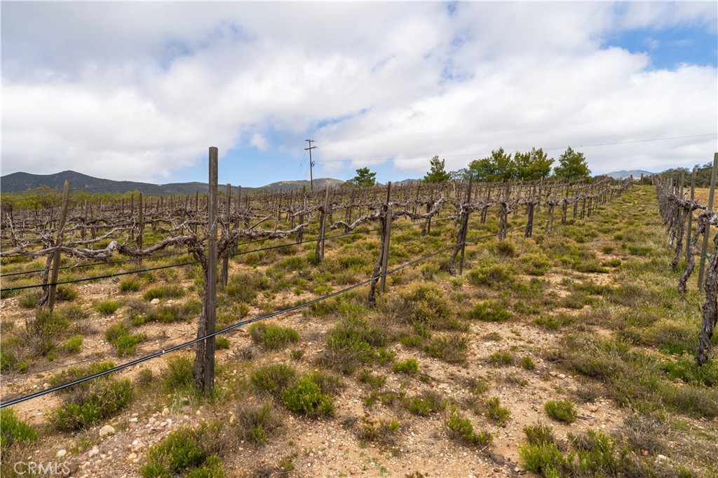 29972 Chihuahua Valley Road