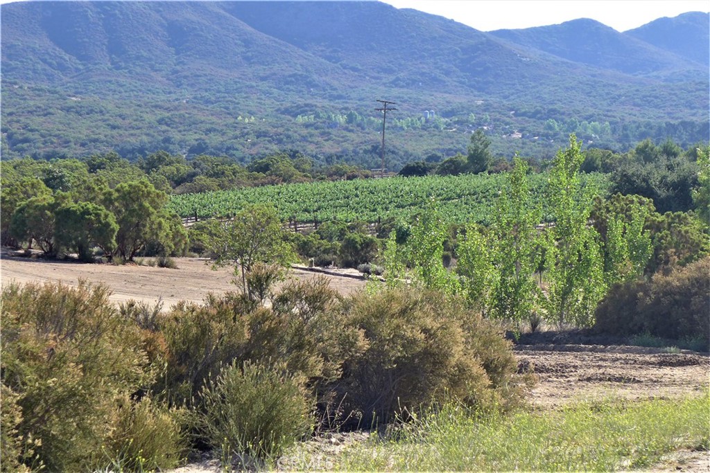 29972 Chihuahua Valley Road