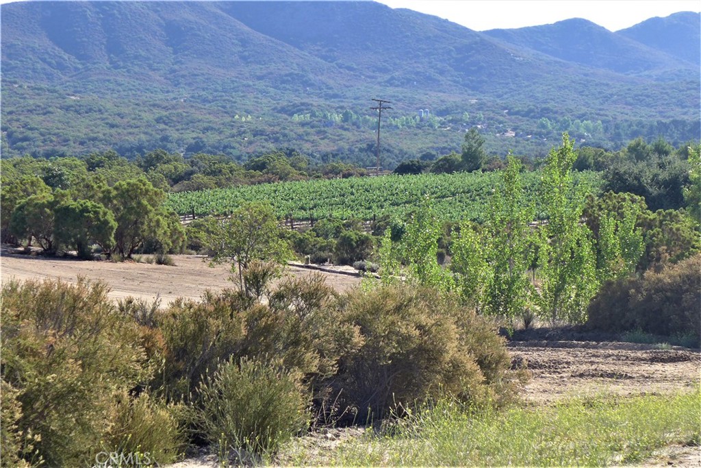 29972 Chihuahua Valley Road