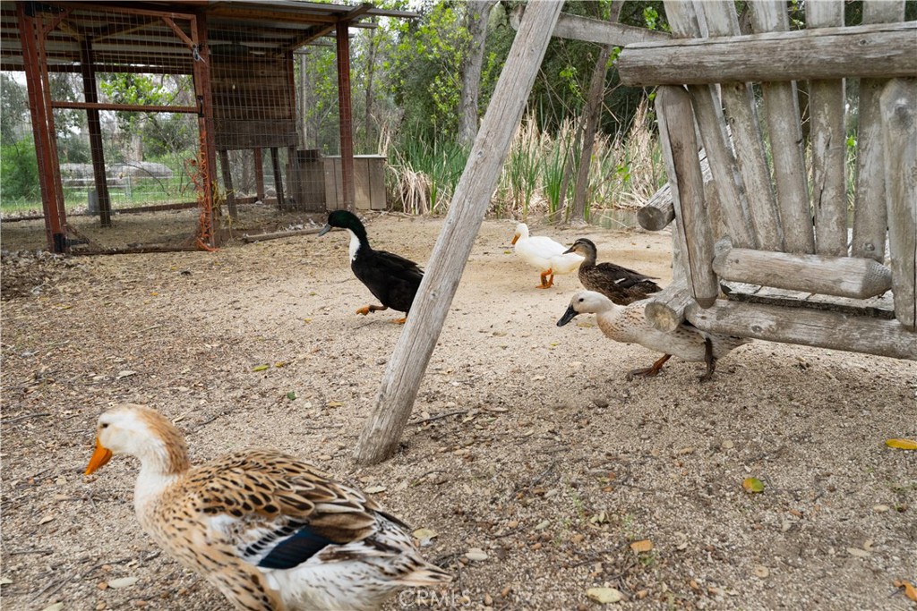 29972 Chihuahua Valley Road