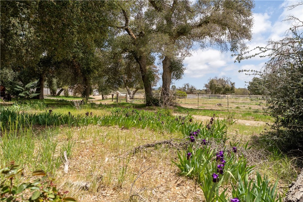 29972 Chihuahua Valley Road