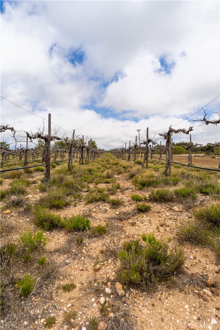 29972 Chihuahua Valley Road